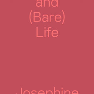 Art and (Bare) Life // A Biopolitical Inquiry